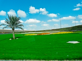 Beautiful greenery of Dubai