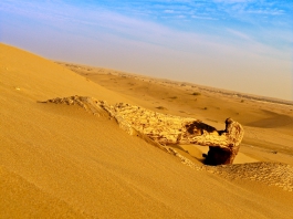 Beautiful Desert of Dubai